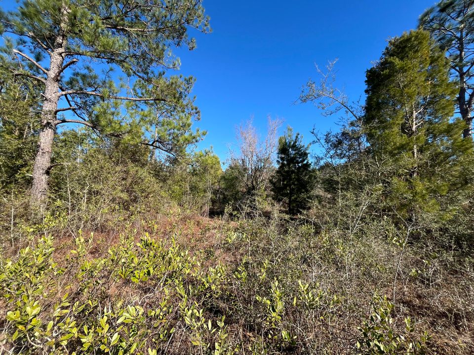 На продажу: $14,400 (0 спален, 0 ванн, 0 Квадратных фут)