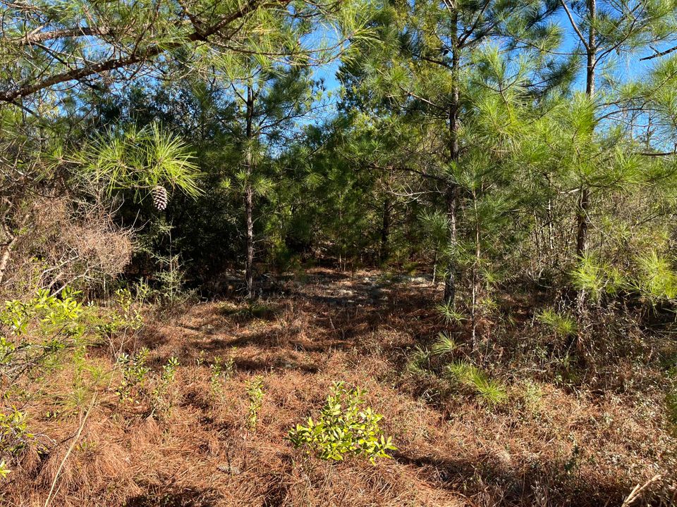 На продажу: $14,400 (0 спален, 0 ванн, 0 Квадратных фут)