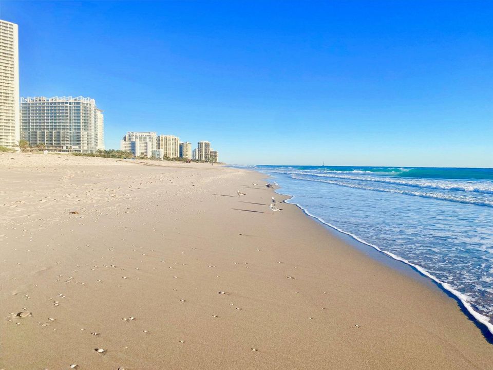 合同活跃: $5,500 (3 贝兹, 4 浴室, 2478 平方英尺)