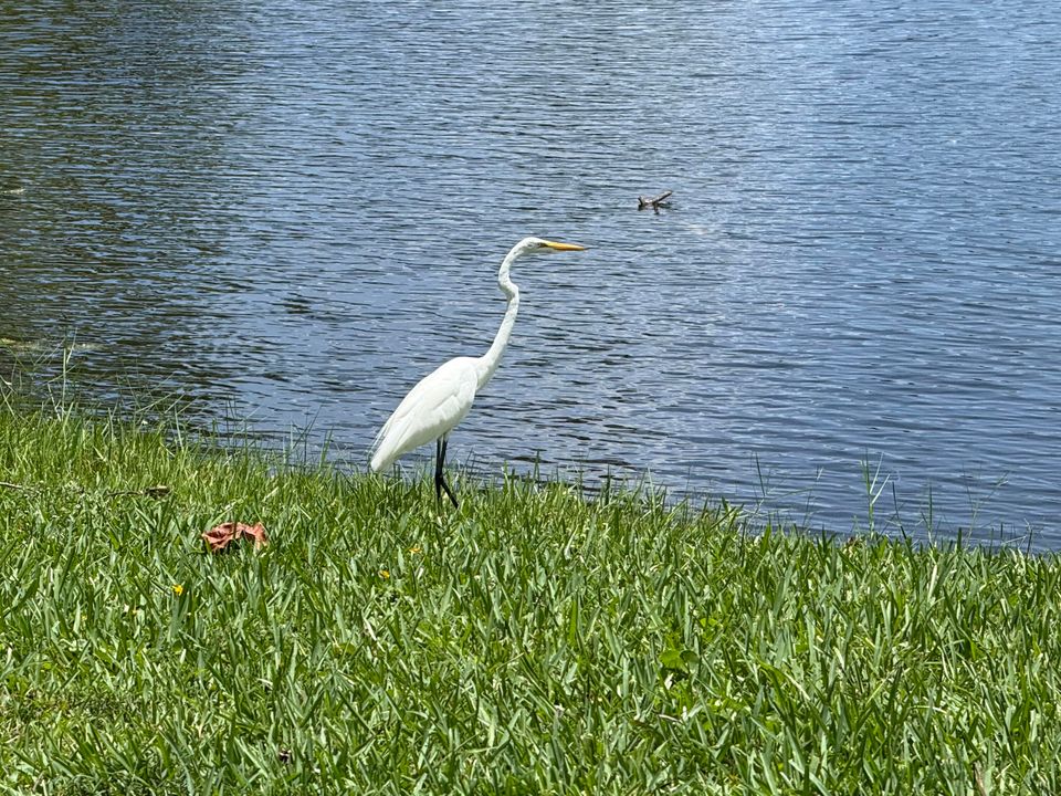 Activo con contrato: $49,900 (1 camas, 1 baños, 794 Pies cuadrados)