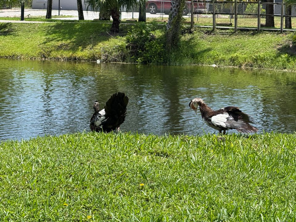 Activo con contrato: $49,900 (1 camas, 1 baños, 794 Pies cuadrados)