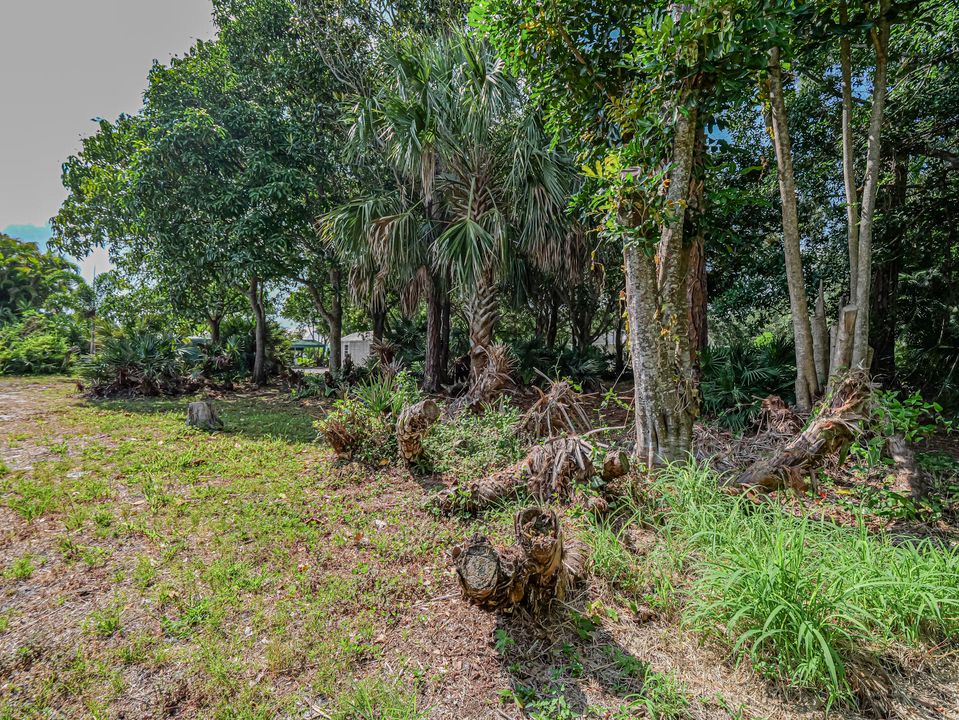 Activo con contrato: $155,000 (0 camas, 0 baños, 0 Pies cuadrados)