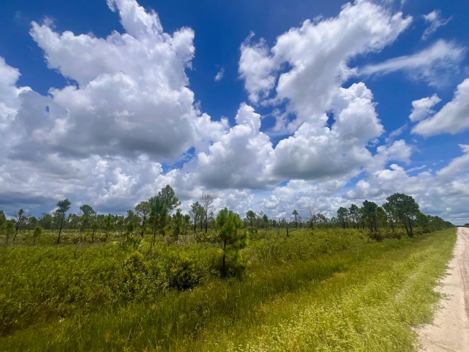 For Sale: $229,900 (0 beds, 0 baths, 0 Square Feet)