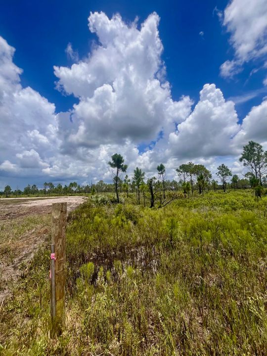 For Sale: $229,900 (0 beds, 0 baths, 0 Square Feet)