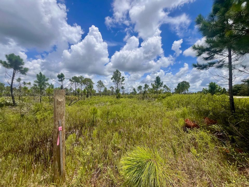 For Sale: $229,900 (0 beds, 0 baths, 0 Square Feet)