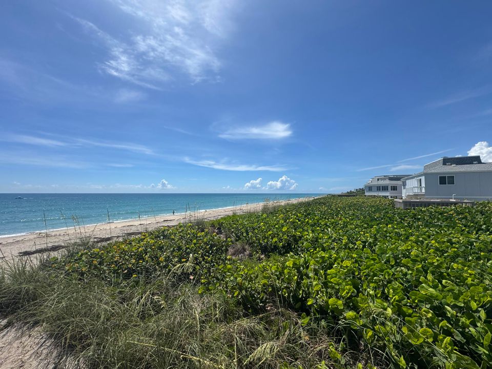 For Rent: $3,500 (2 beds, 1 baths, 925 Square Feet)