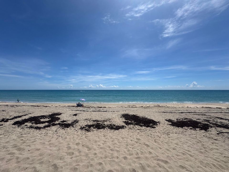 For Rent: $3,500 (2 beds, 1 baths, 925 Square Feet)