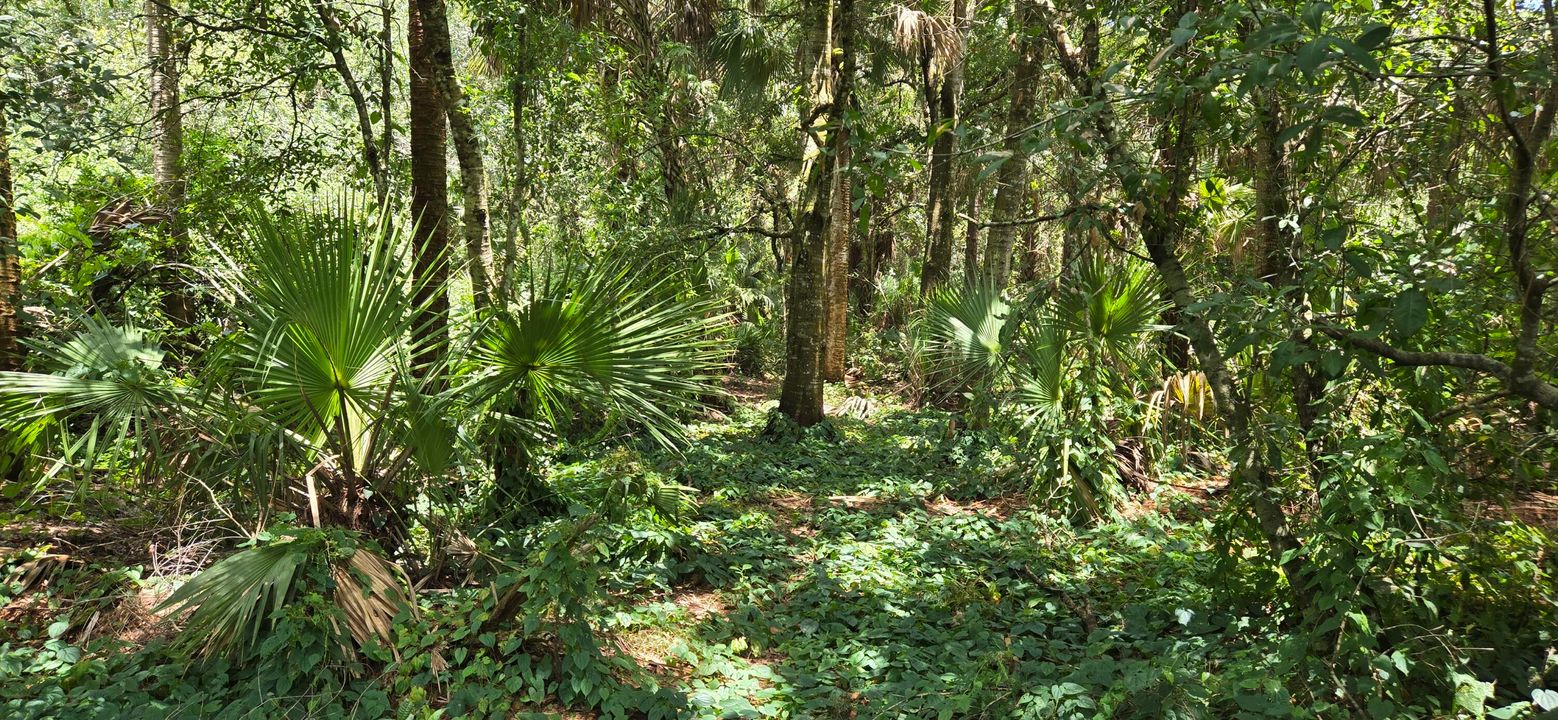 待售: $989,500 (0 贝兹, 0 浴室, 0 平方英尺)