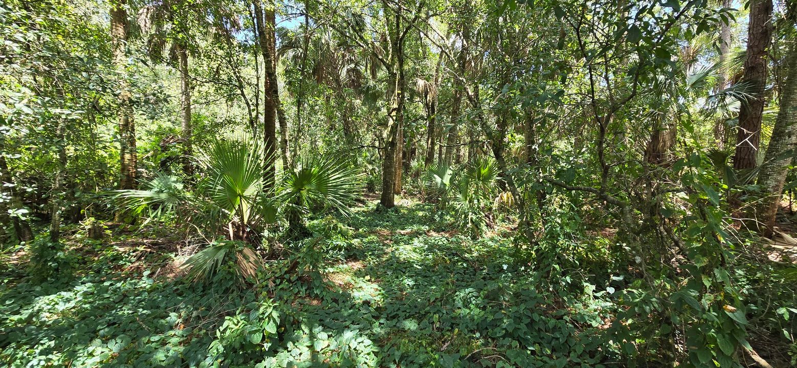 待售: $989,500 (0 贝兹, 0 浴室, 0 平方英尺)