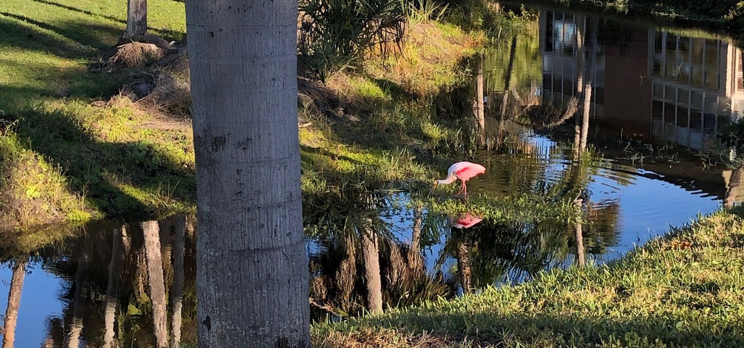 For Sale: $155,000 (2 beds, 2 baths, 1000 Square Feet)