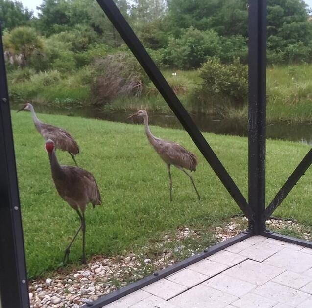 Под контрактом: $5,800 (2 спален, 2 ванн, 1851 Квадратных фут)