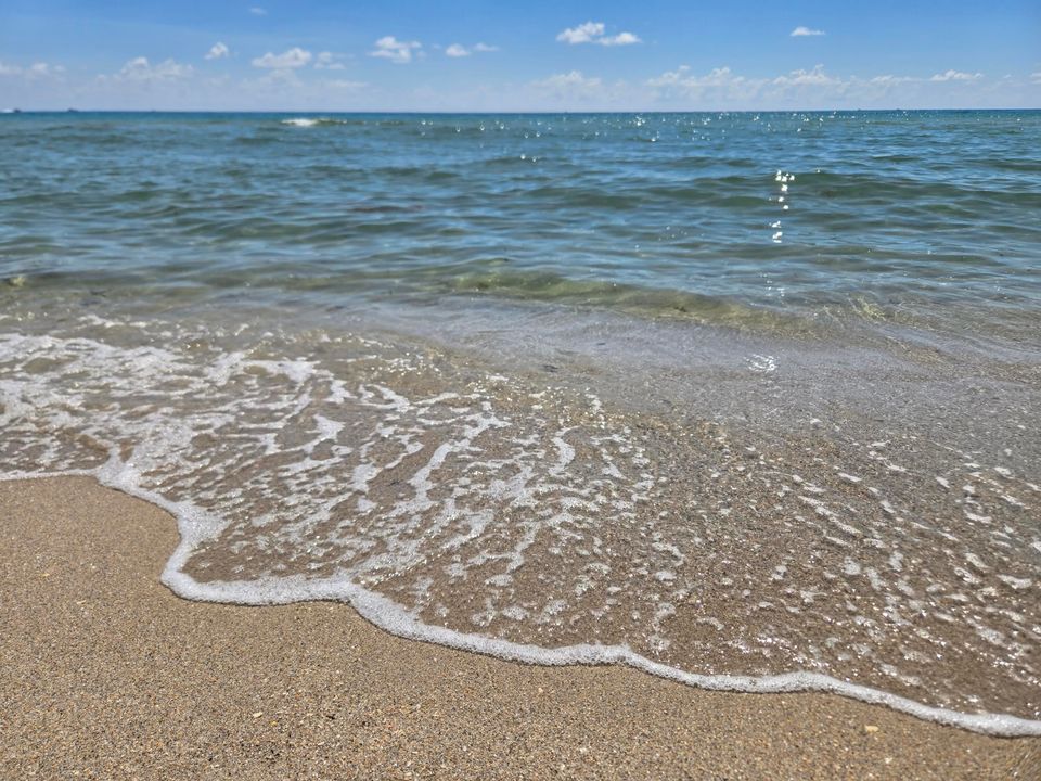 En Venta: $24,000,000 (6 camas, 5 baños, 6734 Pies cuadrados)