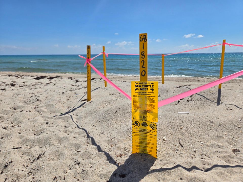 En Venta: $24,000,000 (6 camas, 5 baños, 6734 Pies cuadrados)