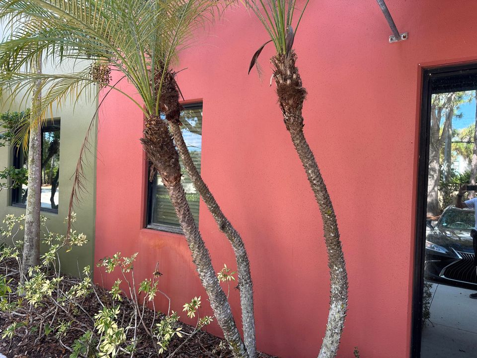 待售: $499,000 (0 贝兹, 0 浴室, 1066 平方英尺)