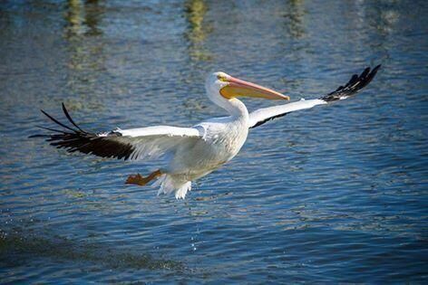 待售: $399,900 (3 贝兹, 2 浴室, 2080 平方英尺)