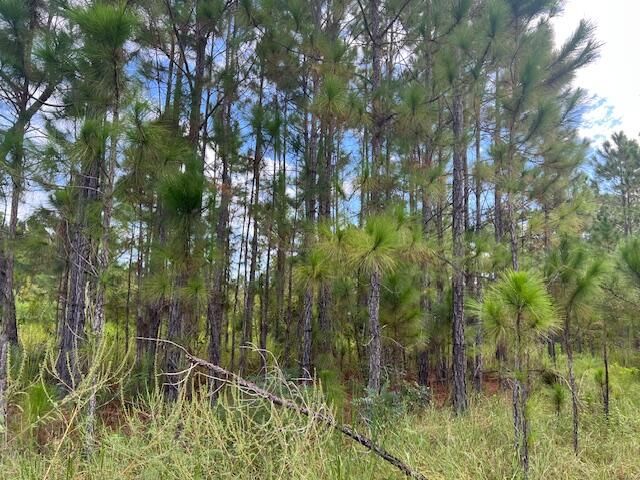 На продажу: $69,900 (0 спален, 0 ванн, 0 Квадратных фут)