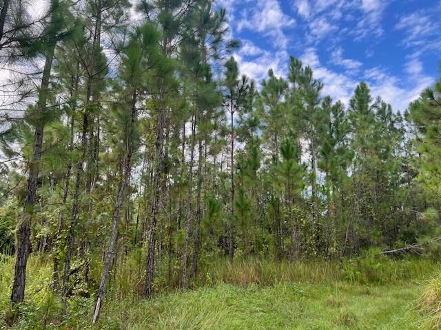 待售: $69,900 (0 贝兹, 0 浴室, 0 平方英尺)