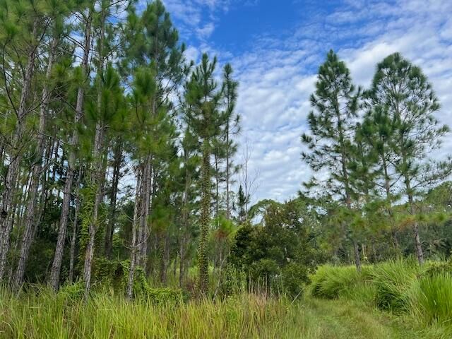 待售: $69,900 (0 贝兹, 0 浴室, 0 平方英尺)