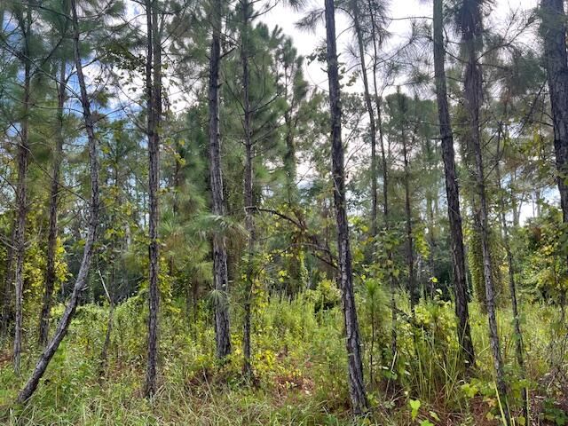 待售: $69,900 (0 贝兹, 0 浴室, 0 平方英尺)