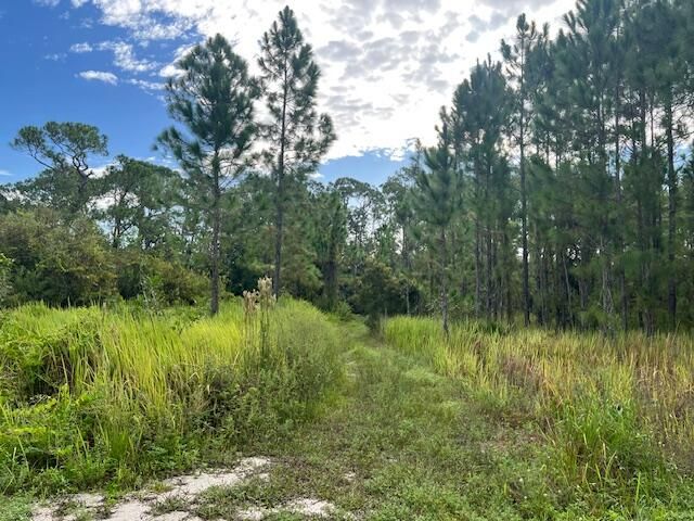 待售: $69,900 (0 贝兹, 0 浴室, 0 平方英尺)