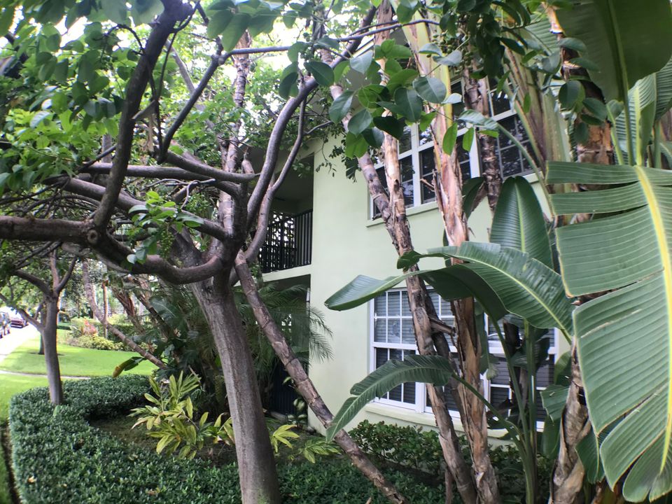 合同活跃: $2,100 (2 贝兹, 2 浴室, 980 平方英尺)