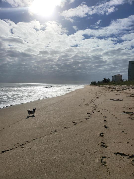 For Rent: $2,800 (2 beds, 2 baths, 1239 Square Feet)