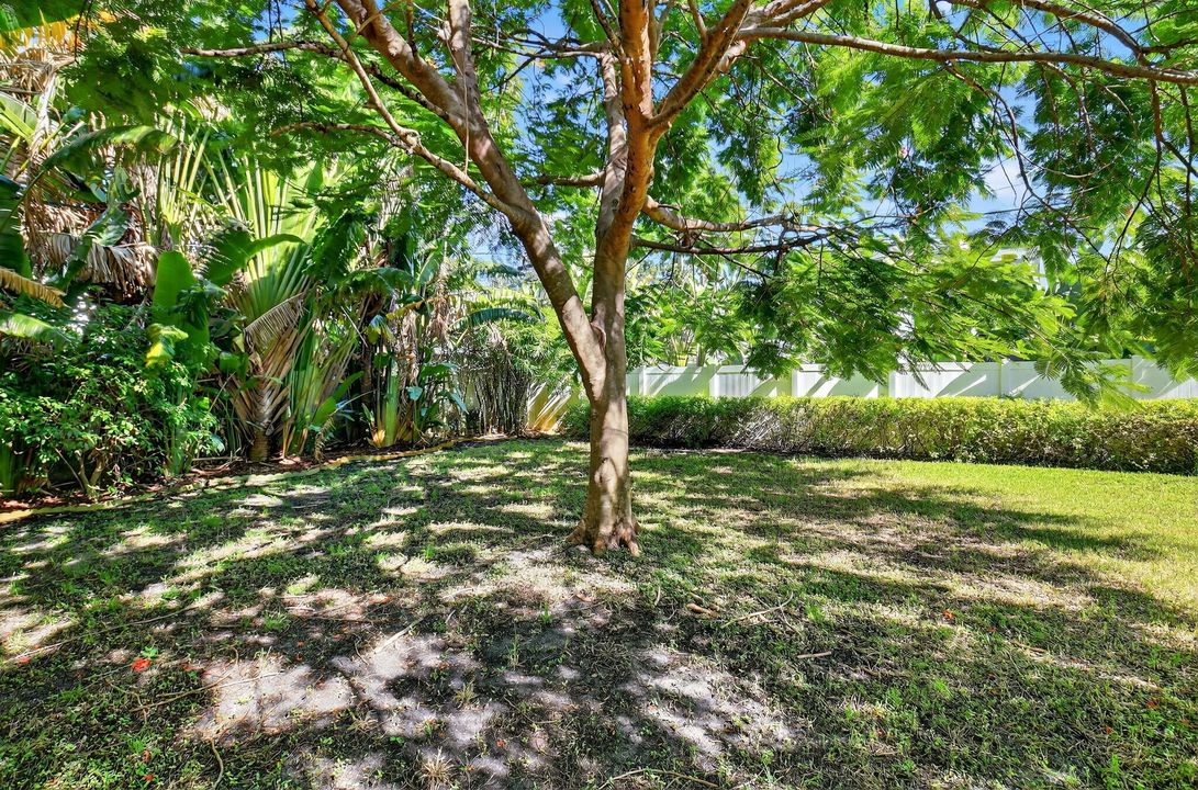 Под контрактом: $1,400,000 (3 спален, 2 ванн, 1235 Квадратных фут)