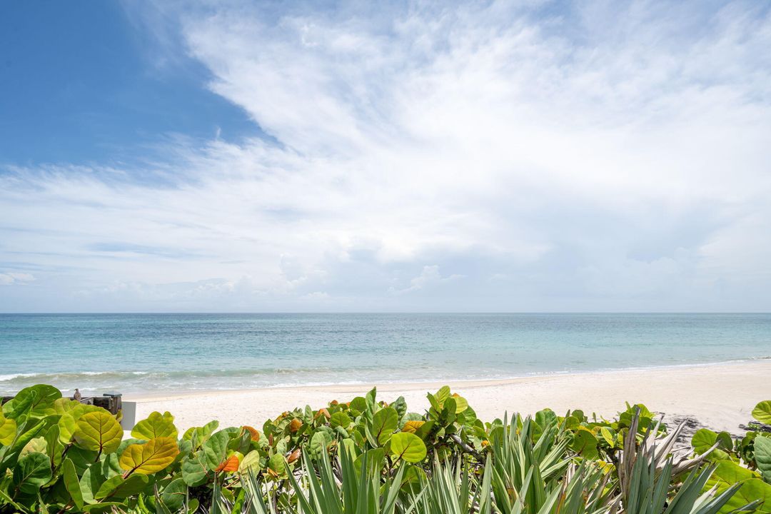 For Sale: $3,850,000 (3 beds, 2 baths, 2601 Square Feet)