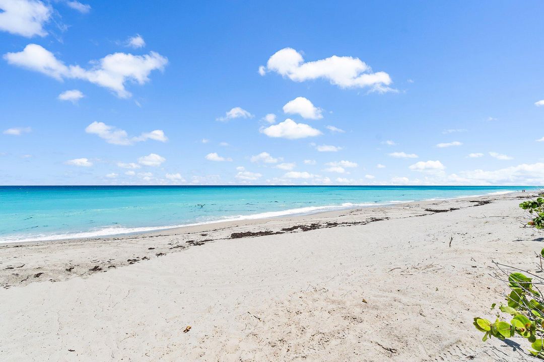 Active With Contract: $3,370,000 (4 beds, 4 baths, 3955 Square Feet)