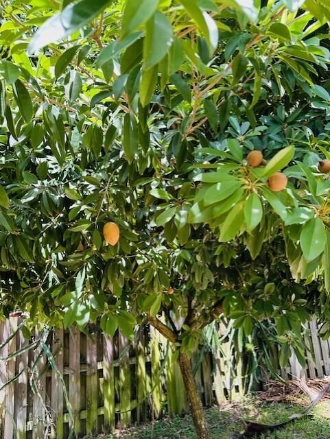 Под контрактом: $4,000 (5 спален, 4 ванн, 2960 Квадратных фут)