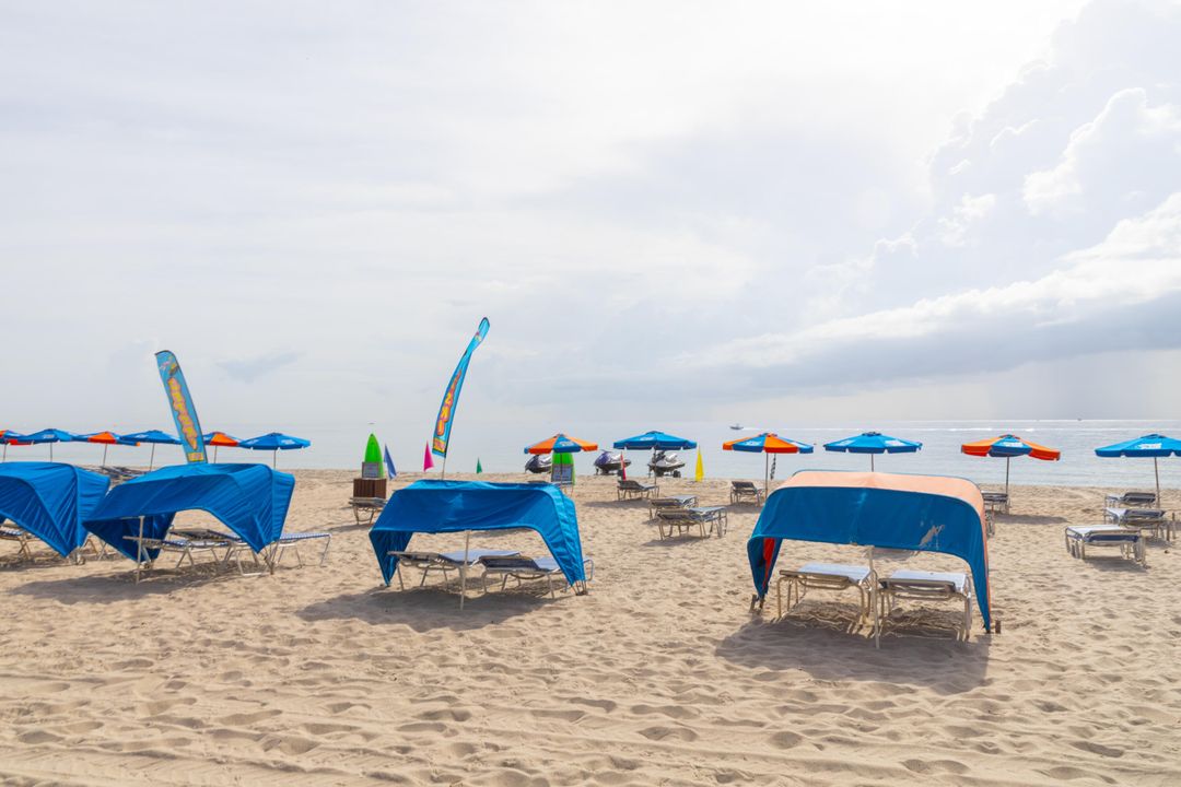 Под контрактом: $520,000 (3 спален, 2 ванн, 1020 Квадратных фут)