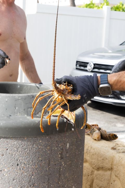 Под контрактом: $520,000 (3 спален, 2 ванн, 1020 Квадратных фут)