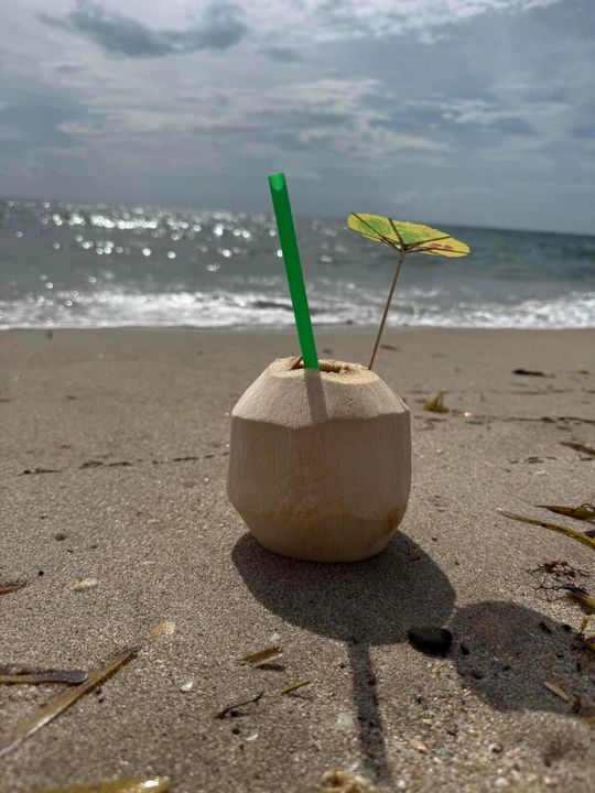 Под контрактом: $520,000 (3 спален, 2 ванн, 1020 Квадратных фут)