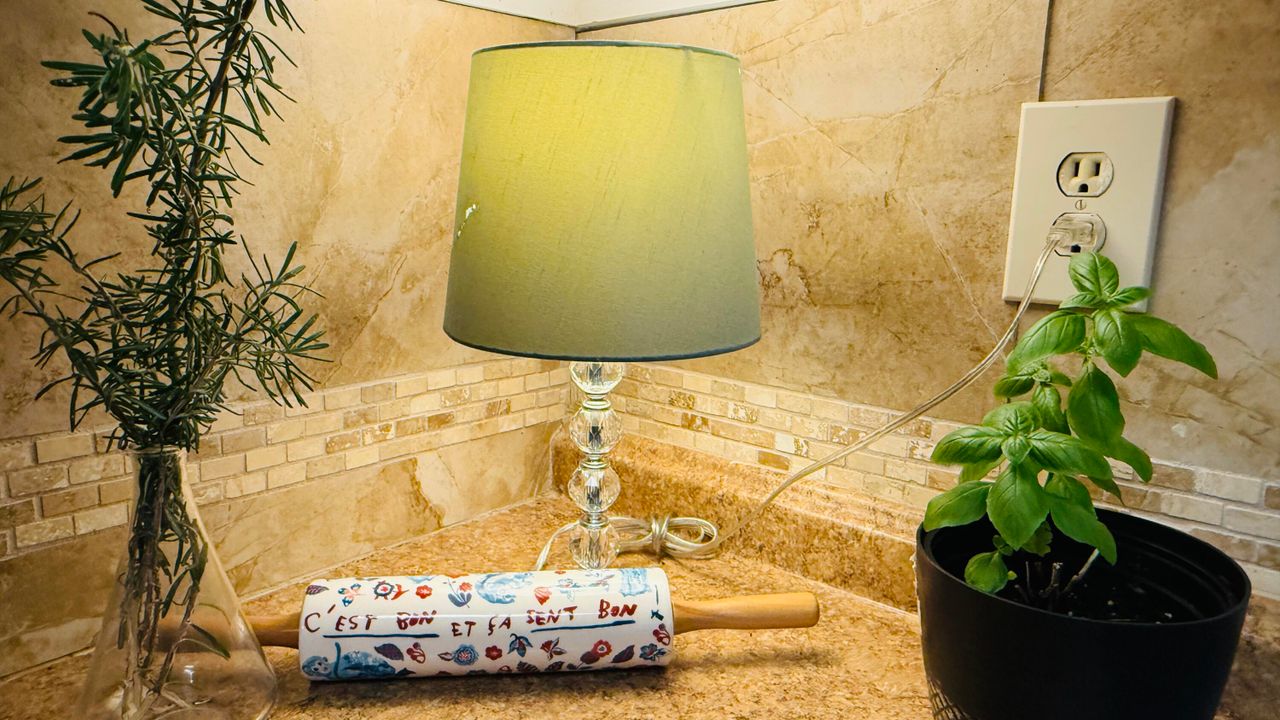 Active With Contract: $1,300 (1 beds, 1 baths, 640 Square Feet)