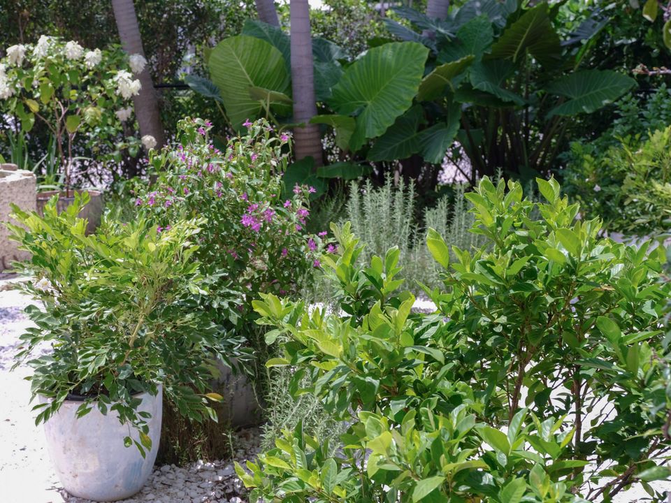 Active With Contract: $4,895,000 (4 beds, 4 baths, 3865 Square Feet)