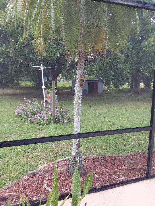 Под контрактом: $320,000 (3 спален, 2 ванн, 1512 Квадратных фут)