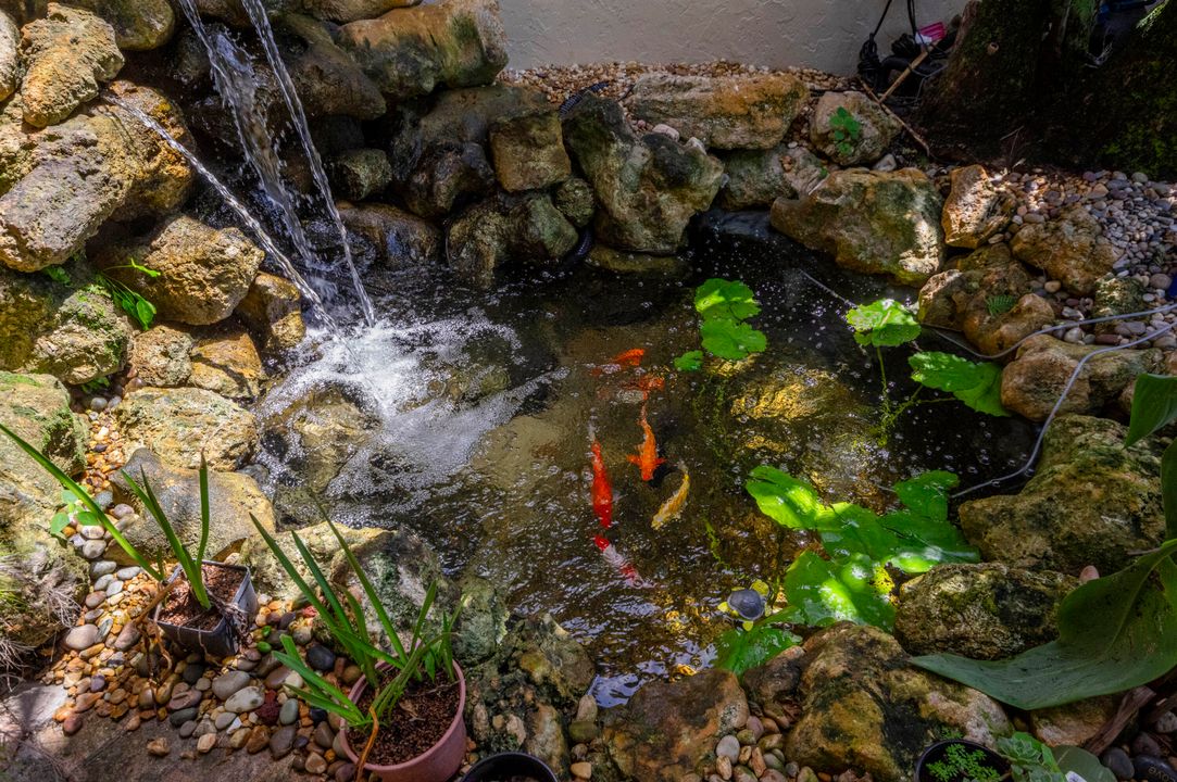 Active With Contract: $9,500 (3 beds, 2 baths, 2400 Square Feet)