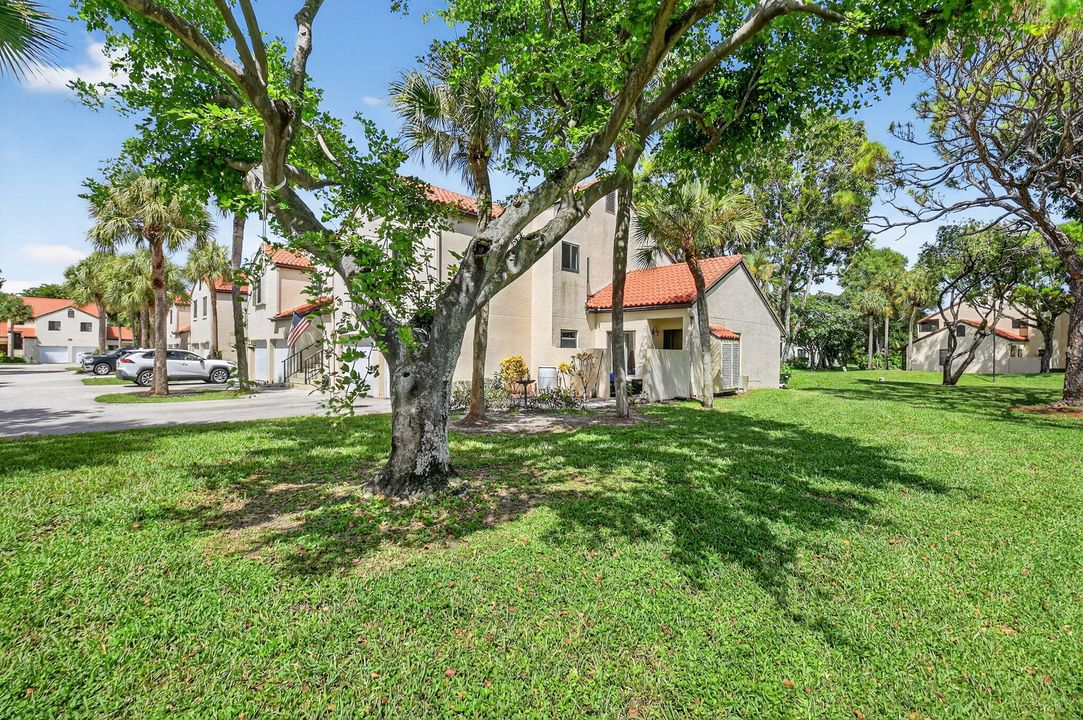 合同活跃: $3,000 (3 贝兹, 2 浴室, 1242 平方英尺)