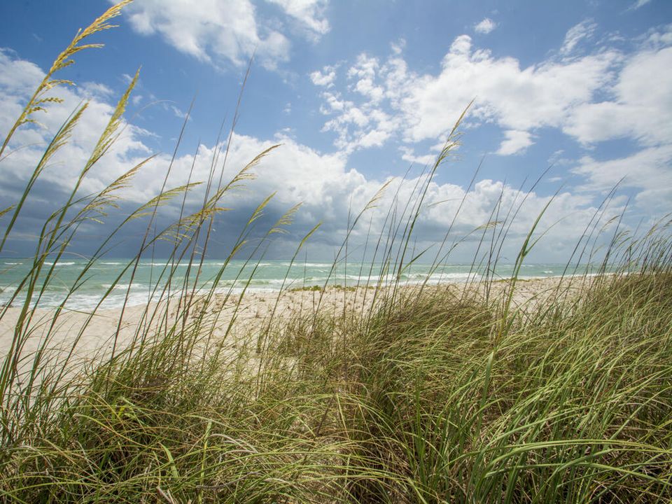 待售: $410,000 (1 贝兹, 1 浴室, 1100 平方英尺)