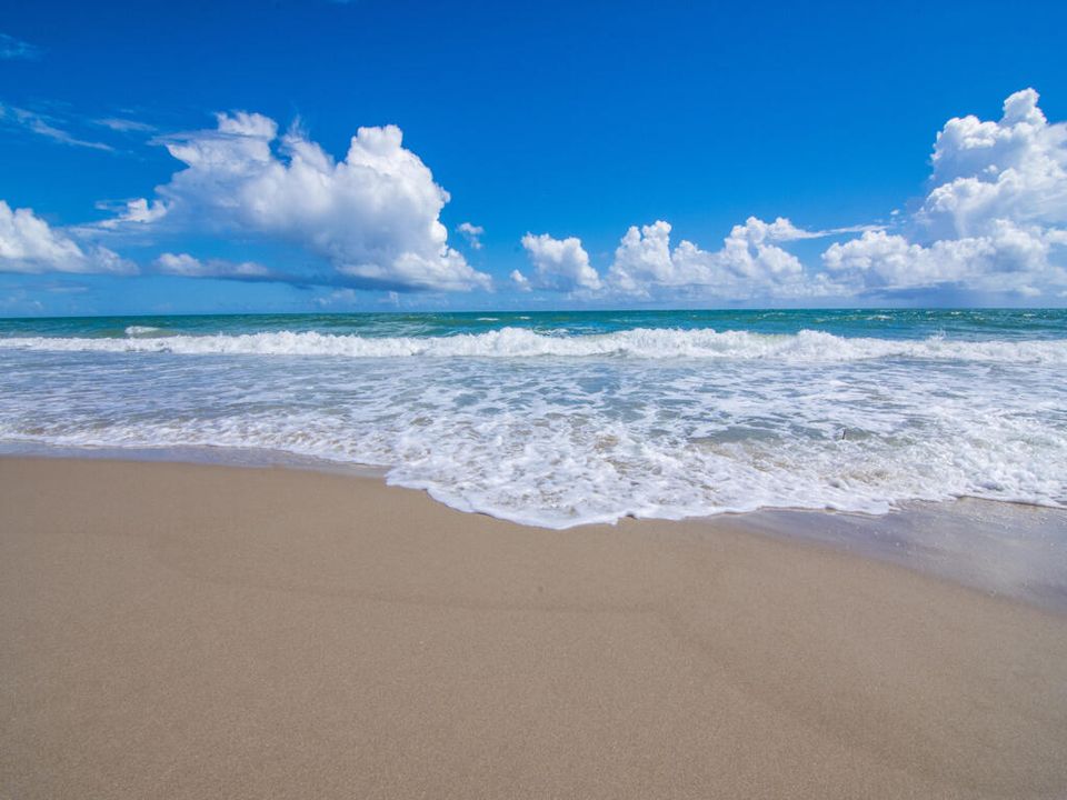 待售: $410,000 (1 贝兹, 1 浴室, 1100 平方英尺)