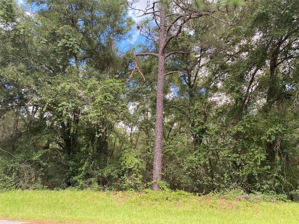 На продажу: $17,500 (0 спален, 0 ванн, 0 Квадратных фут)