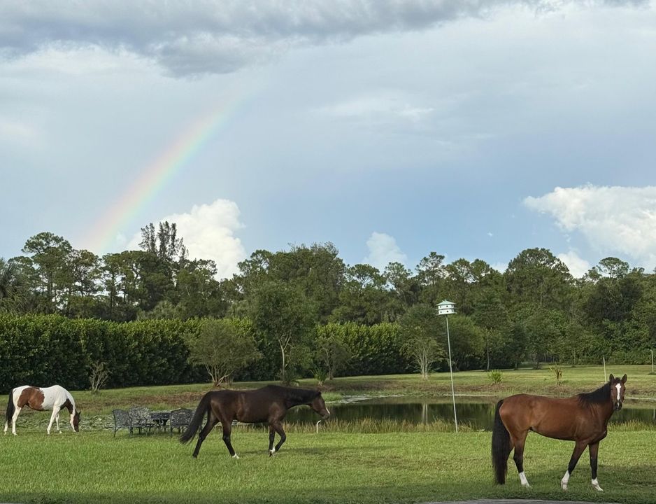 En Venta: $3,199,000 (4 camas, 4 baños, 1729 Pies cuadrados)