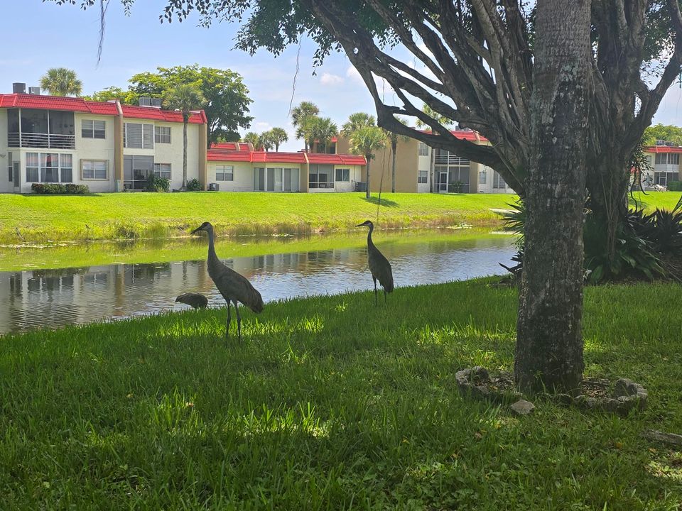 合同活跃: $119,000 (2 贝兹, 2 浴室, 1021 平方英尺)