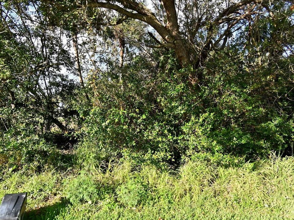 Недавно продано: $30,000 (0 спален, 0 ванн, 0 Квадратных фут)