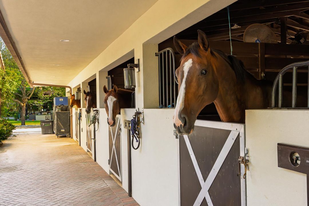 出租: $15,000 (5 贝兹, 6 浴室, 4660 平方英尺)