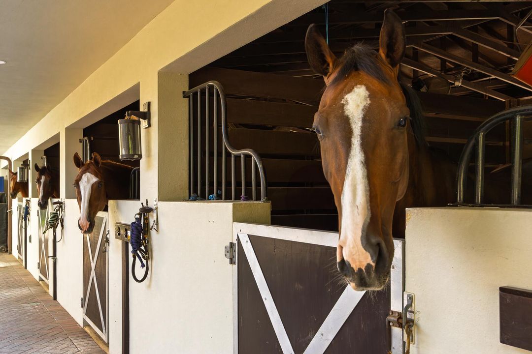 出租: $15,000 (5 贝兹, 6 浴室, 4660 平方英尺)