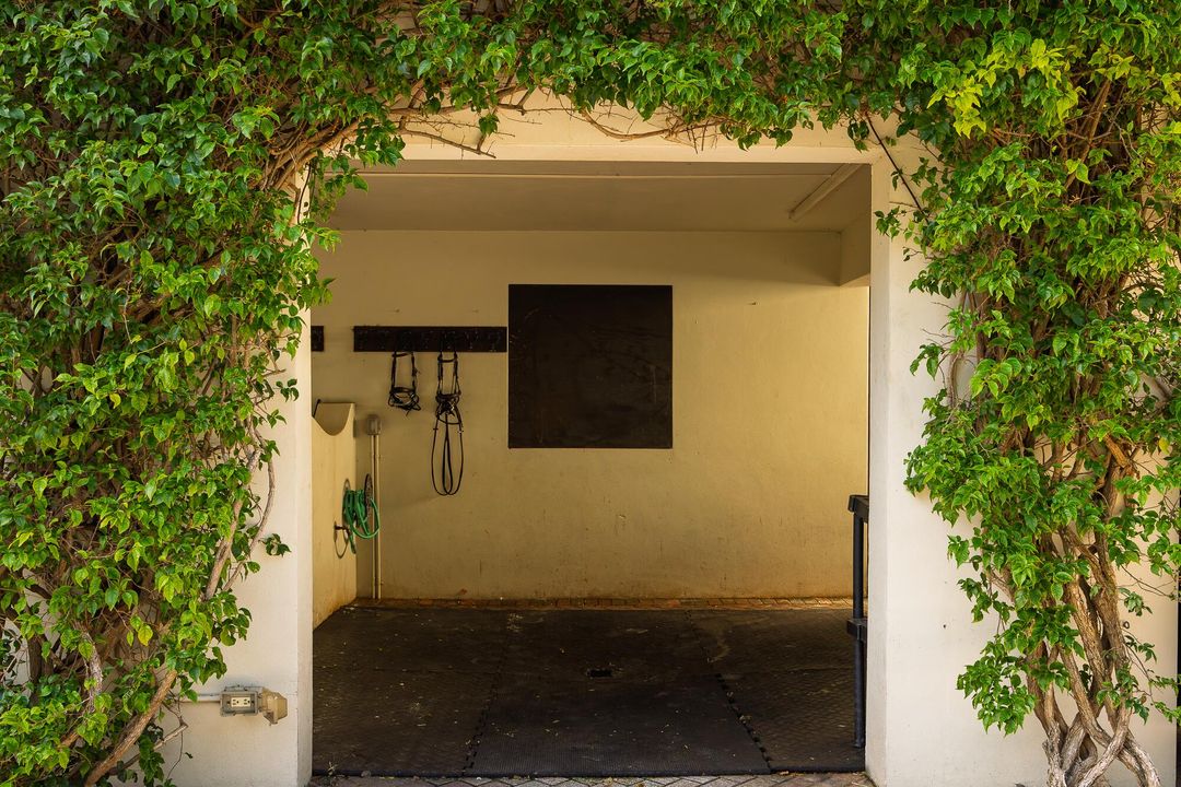 出租: $15,000 (5 贝兹, 6 浴室, 4660 平方英尺)