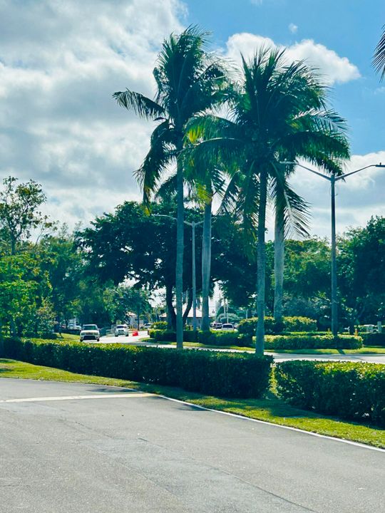 待售: $71,500 (1 贝兹, 1 浴室, 570 平方英尺)