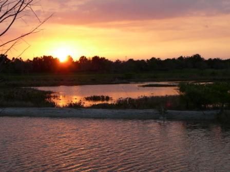 En Renta: $3,895 (3 camas, 2 baños, 2001 Pies cuadrados)