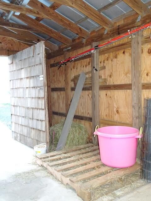 出租: $2,000 (1 贝兹, 1 浴室, 890 平方英尺)